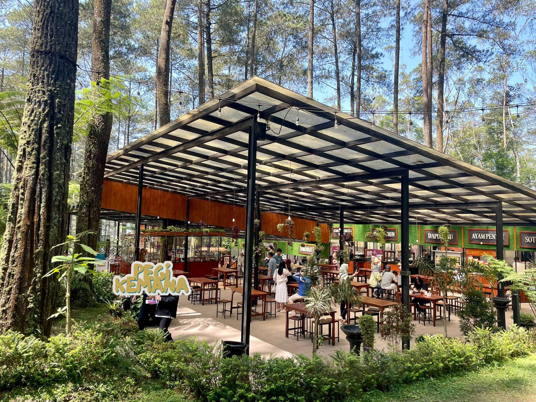 Orchid forest Lembang