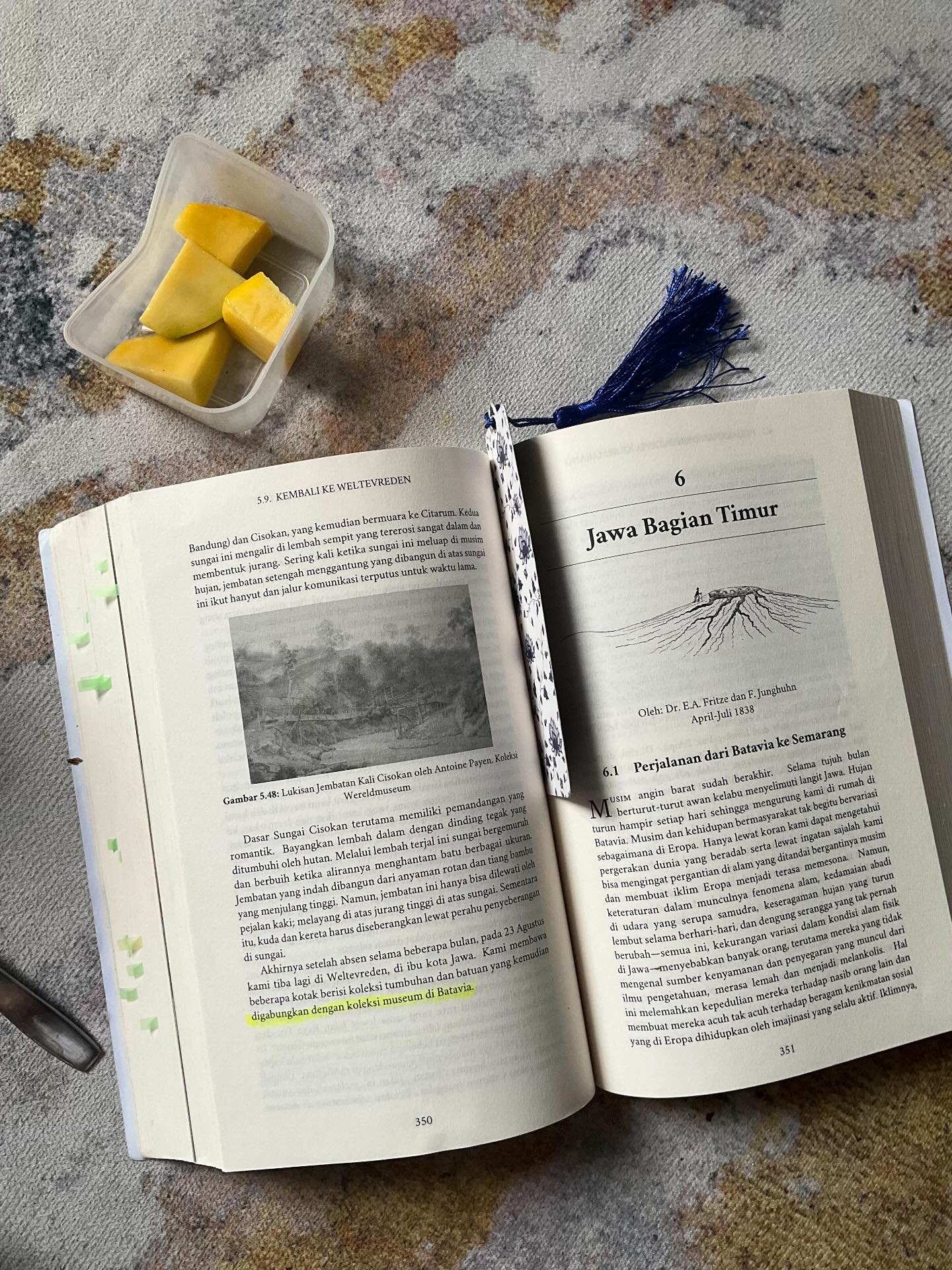 Junghuhn berkelana di jawa